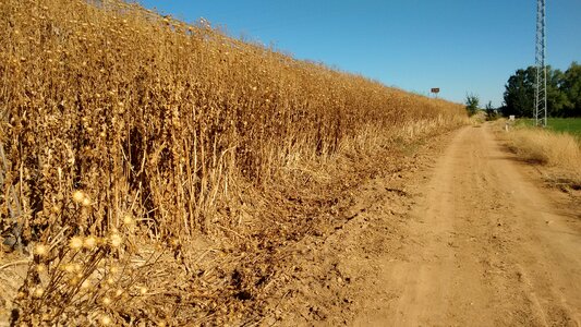 Autumn open air path