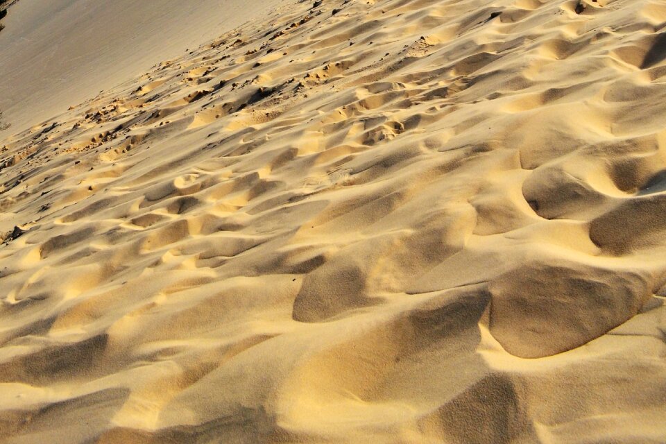 Nature background dune