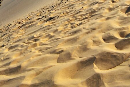 Nature background dune photo