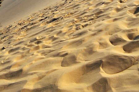 Nature background dune