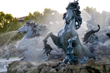 Horse france aquitaine photo