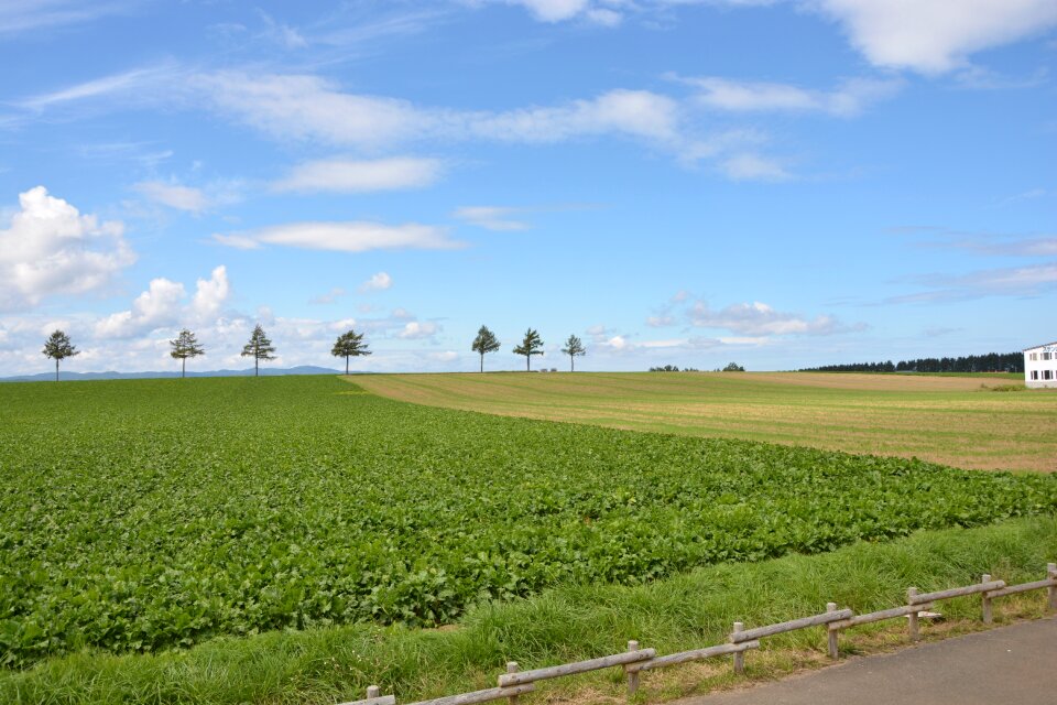 Fairy hill meadow blue sky