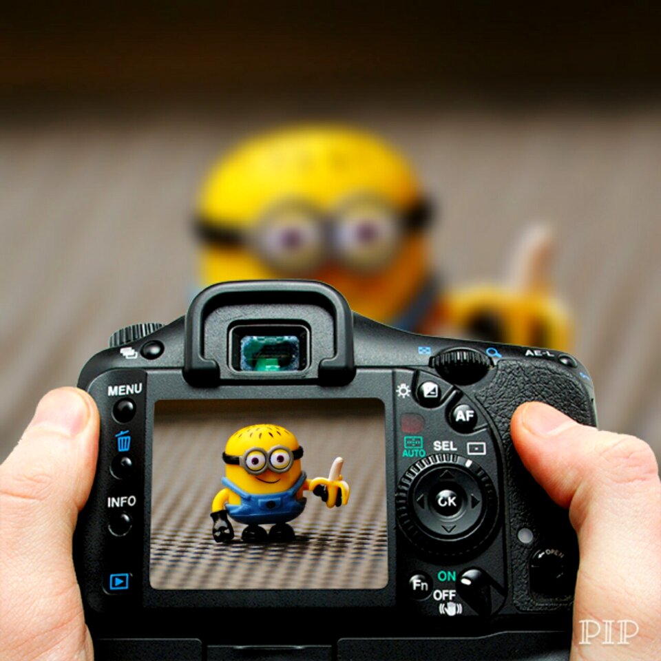 Photo photograph funny