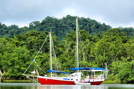 Sailboat river rainforest photo