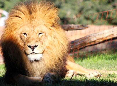 Animal bio park predator