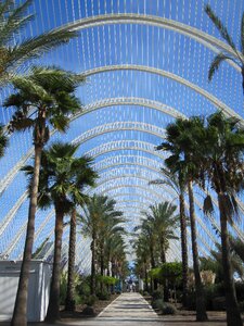 Spain l'umbracle gardens photo