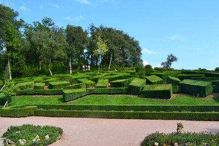 Maze garden french garden