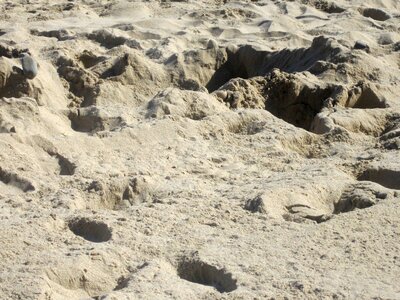 Sand footprints beach photo