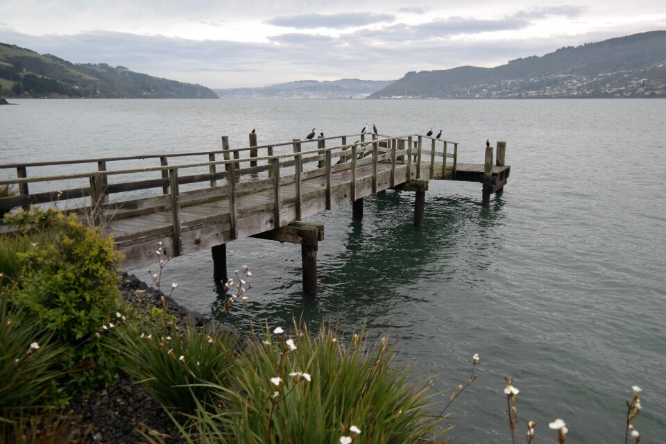 Harbor dunedin otago