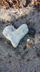 Nature gray heart