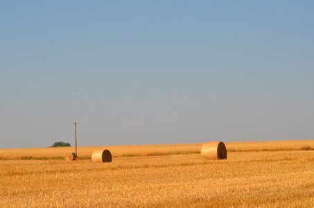 Harvest field poland photo