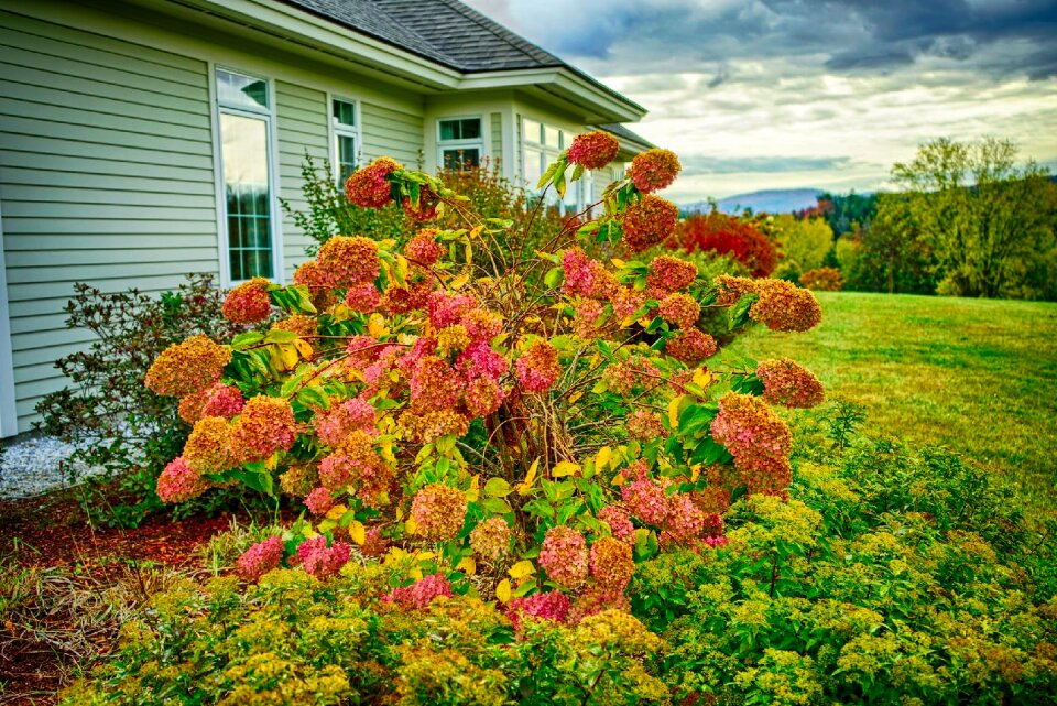 Sky clouds autumn
