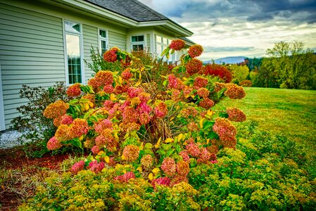 Sky clouds autumn photo