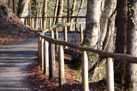 Nature upper bavaria landscape