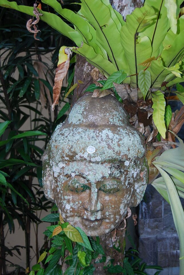 Bali sculpture garden