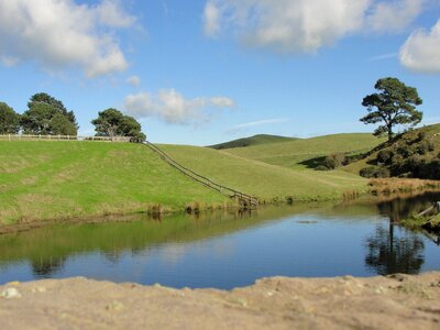 Green landscapes pond frogs photo