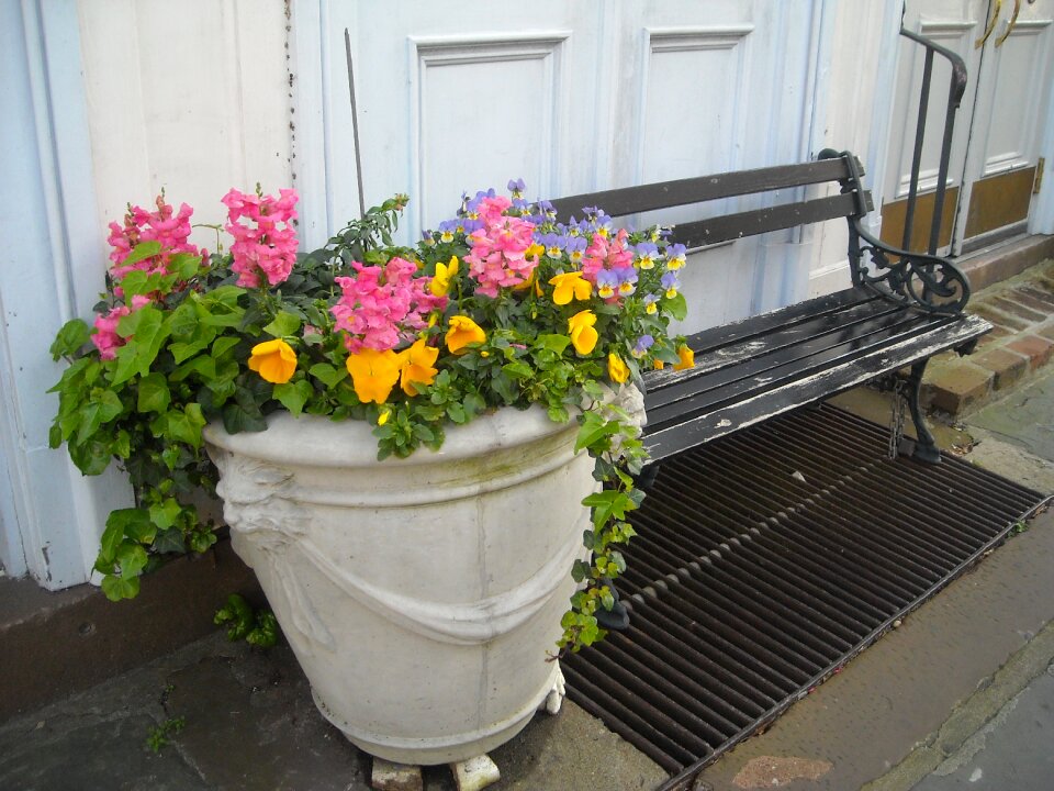 Sidewalk house architecture photo