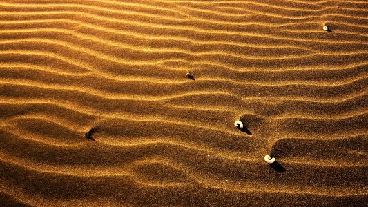 Beach desert sandy