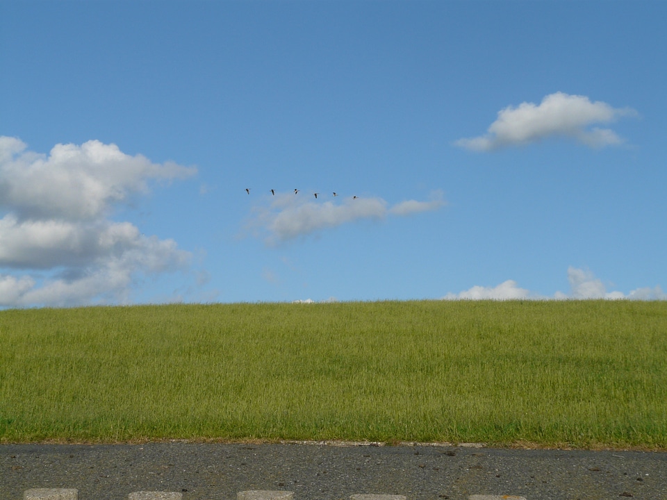 North sea landscape idyll