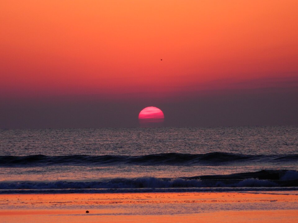 Coast reflection horizon