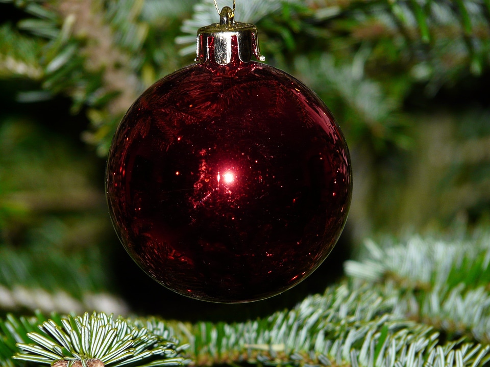 Christmas fir tree sparkle