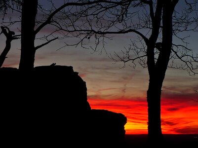 Park nature rock