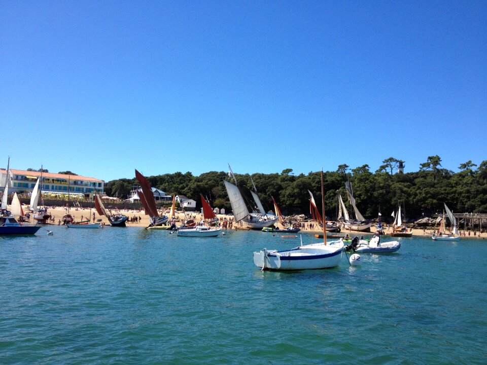 Beach sailboat browse photo