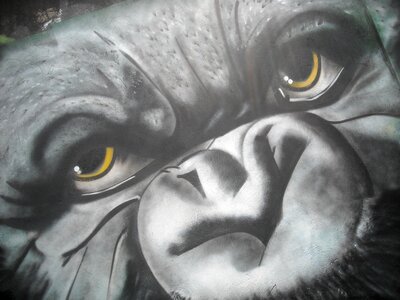 Bogota colombia graffiti photo