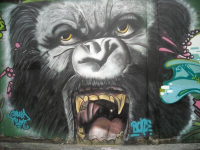 Colombia urban art graffiti photo