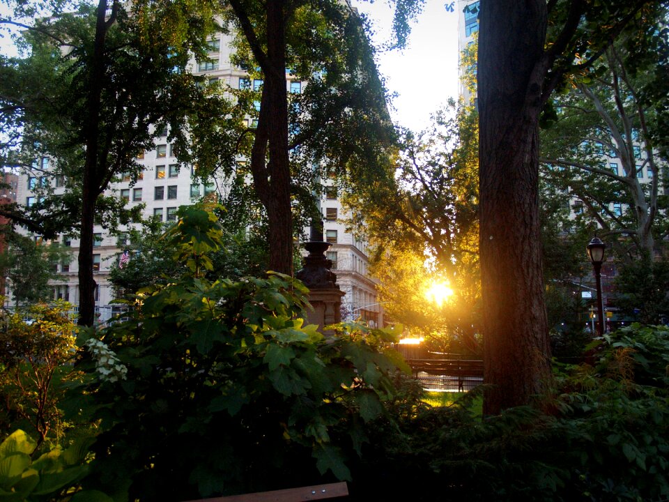 Manhattan sky evening