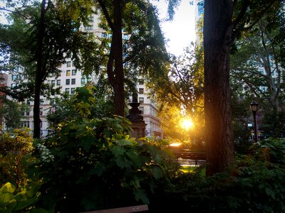 Manhattan sky evening