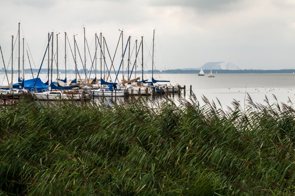 Web port pier
