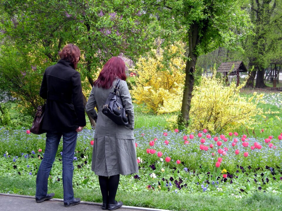 Flowers landscape colors