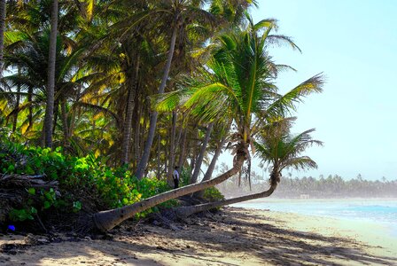 Calm guard sandy beach photo