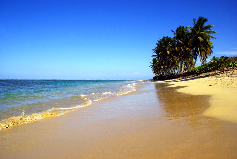 Sea holiday beautiful beach