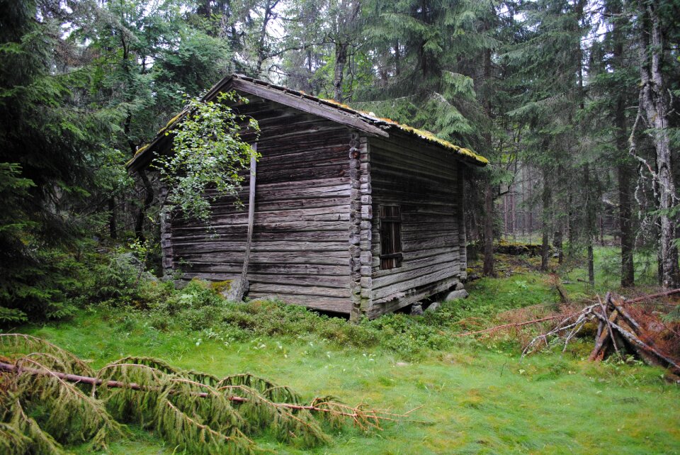 Floda sweden woods