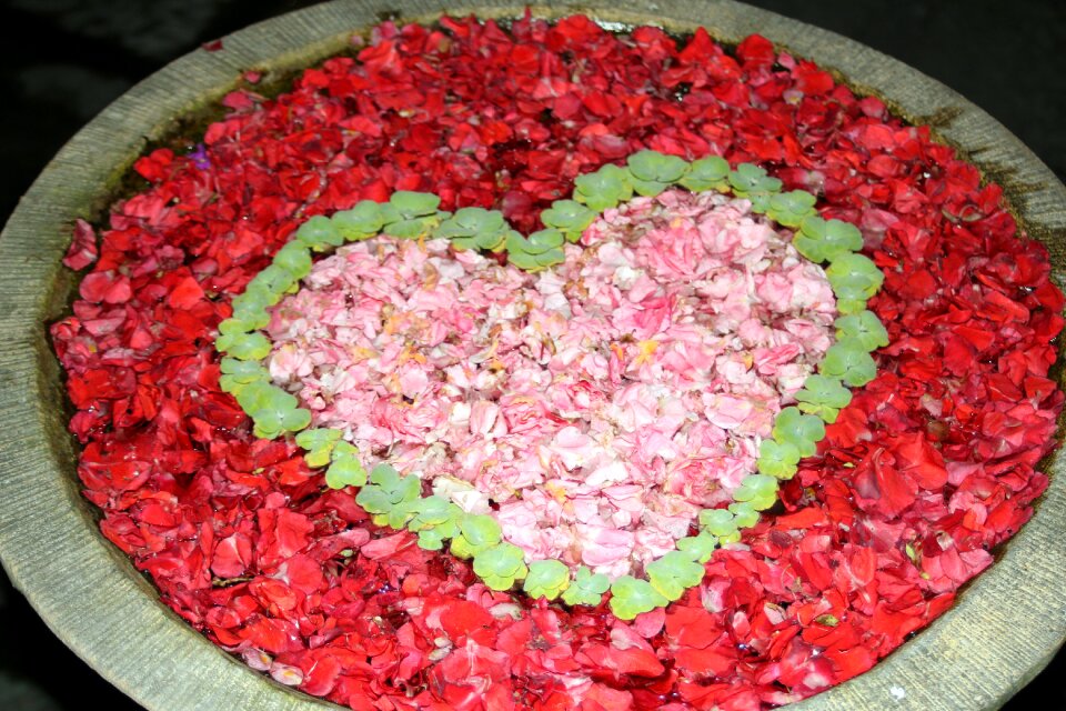 Floral love romantic
