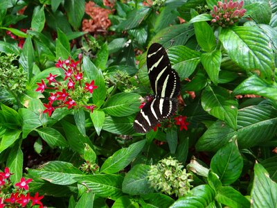 National park america nature