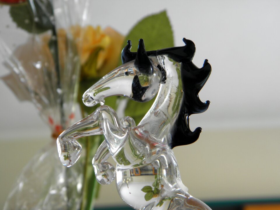 Horse glass macro