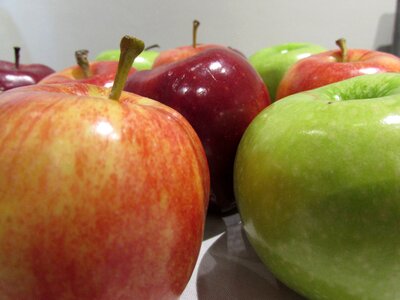 Rosh hashana jewish fruit