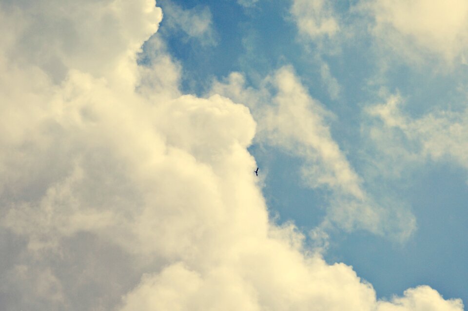 Freedom blue nature