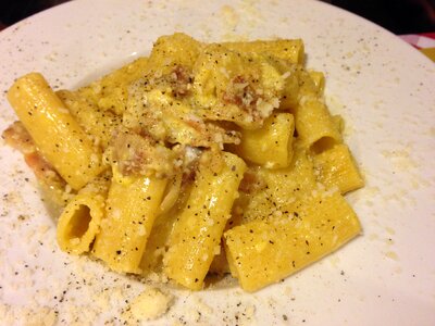 Pasta four cheeses italian sauce