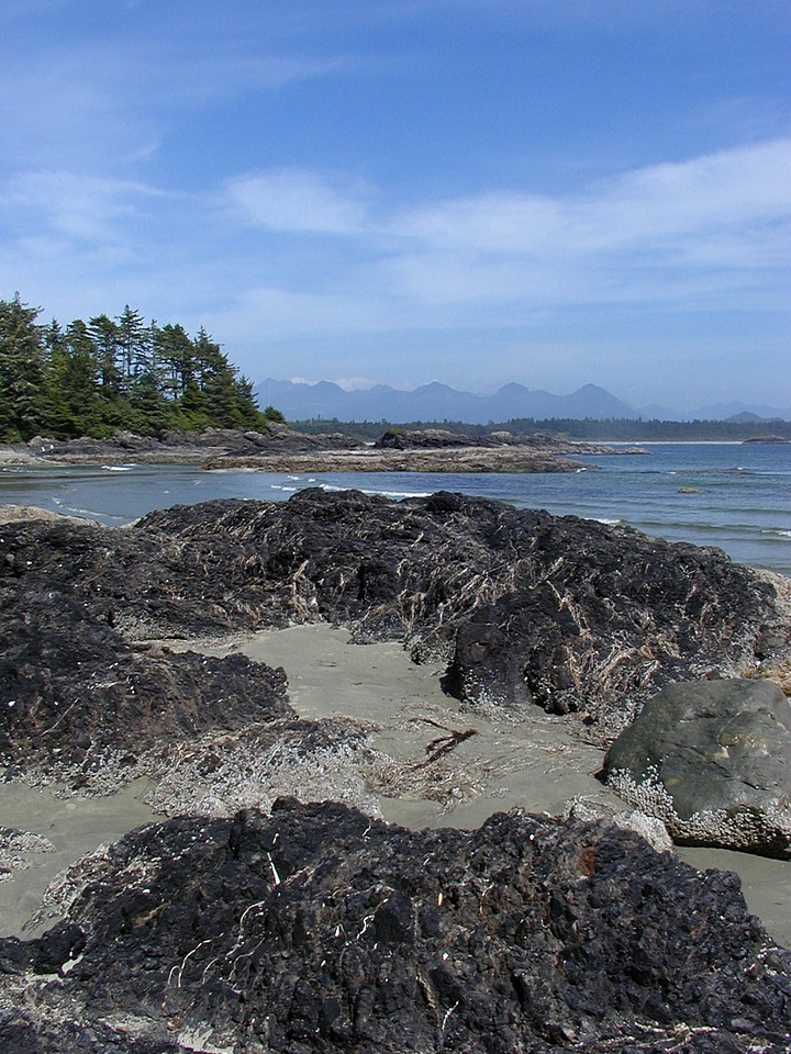Tofino long beach rocks
