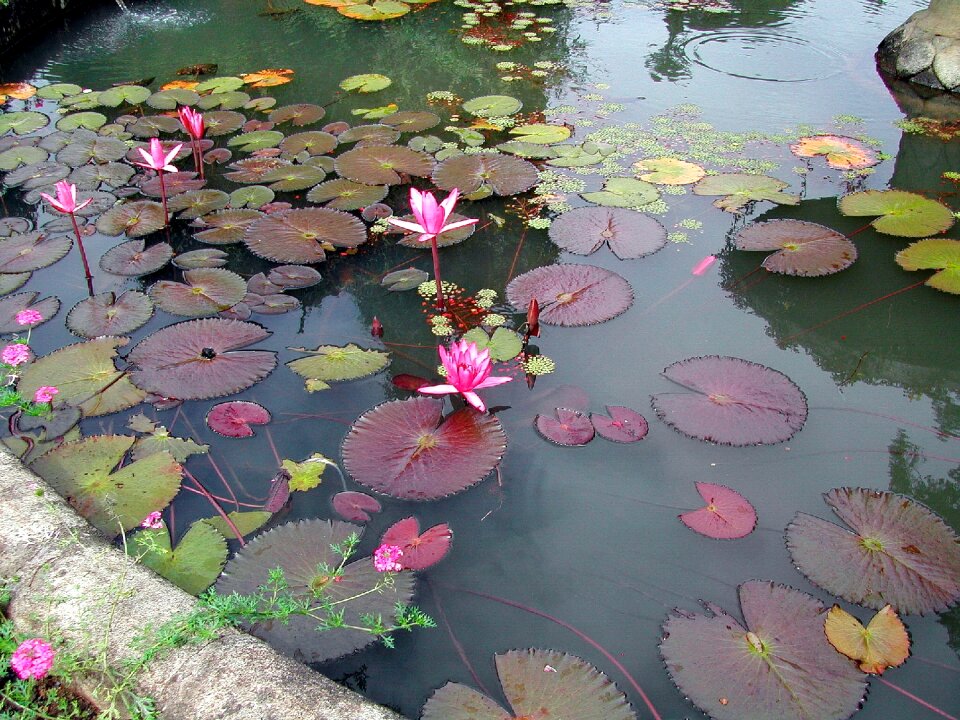 Calm serenity reflections