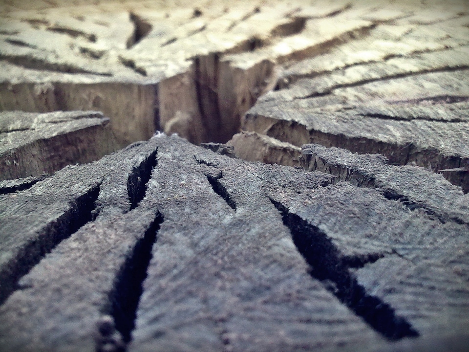 Nature bark cracks