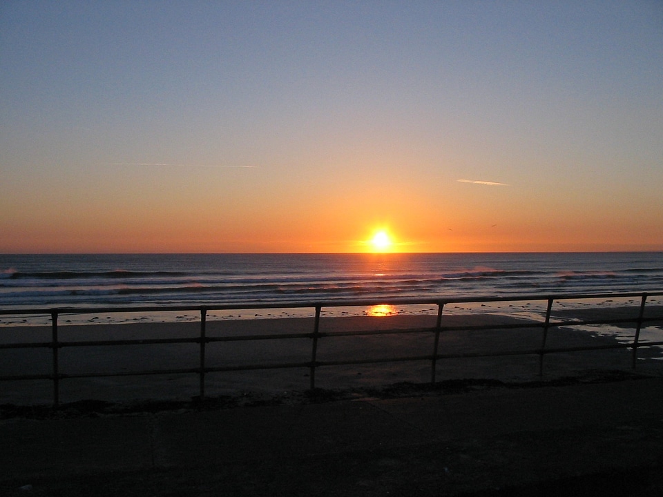 Sea orange romance