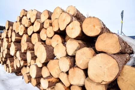 Timber firewood photo