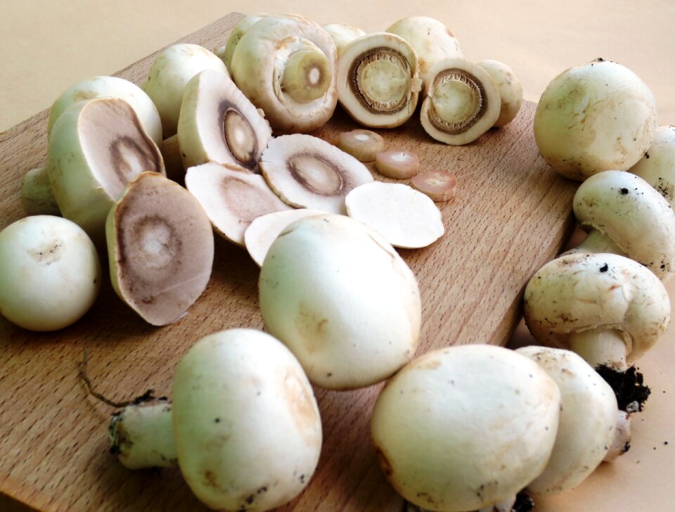 Mushrooms button mushrooms chopped mushrooms