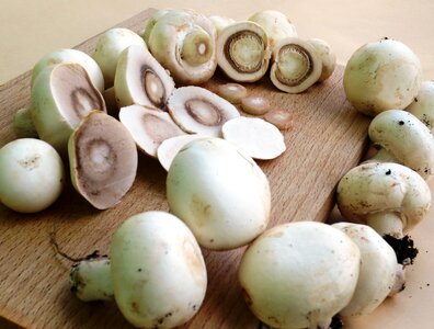 Mushrooms button mushrooms chopped mushrooms