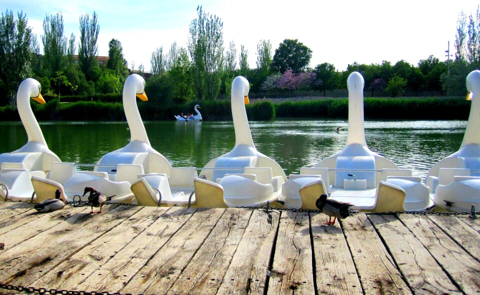 Pedalos lake pond